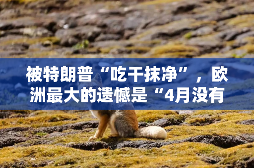 被特朗普“吃干抹净”，欧洲最大的遗憾是“4月没有和中国一起反抗”