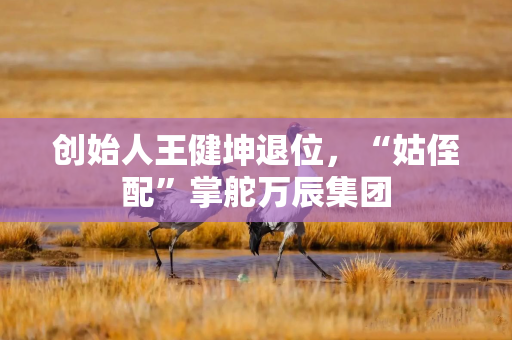 创始人王健坤退位，“姑侄配”掌舵万辰集团
