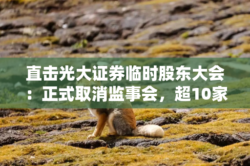 直击光大证券临时股东大会：正式取消监事会，超10家上市券商已实施