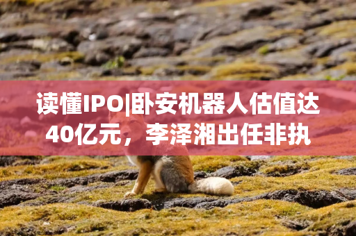 读懂IPO|卧安机器人估值达40亿元，李泽湘出任非执行董事，近三年亏损收窄