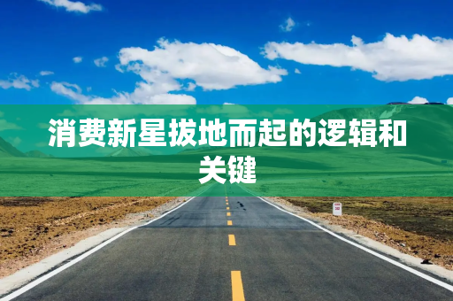 消费新星拔地而起的逻辑和关键