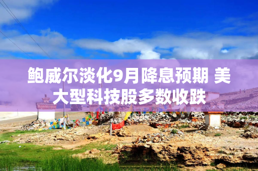 鲍威尔淡化9月降息预期 美大型科技股多数收跌