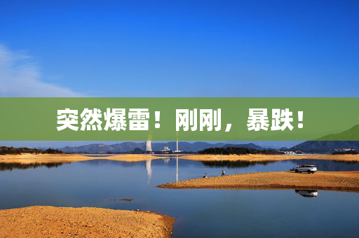 突然爆雷！刚刚，暴跌！