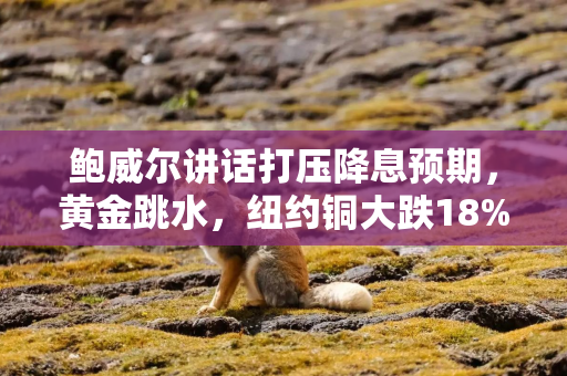 鲍威尔讲话打压降息预期，黄金跳水，纽约铜大跌18%