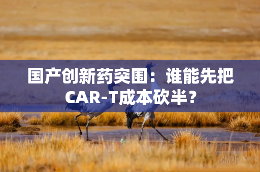 国产创新药突围：谁能先把CAR-T成本砍半？