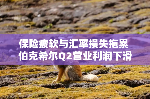 保险疲软与汇率损失拖累 伯克希尔Q2营业利润下滑 并警告关税风险