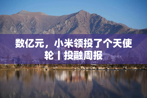 数亿元，小米领投了个天使轮丨投融周报
