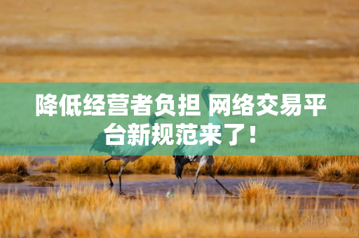 降低经营者负担 网络交易平台新规范来了！