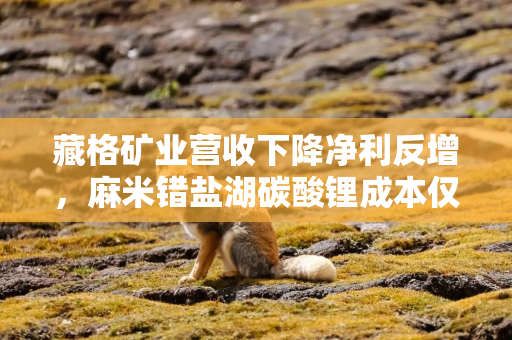 藏格矿业营收下降净利反增，麻米错盐湖碳酸锂成本仅3.10万/吨