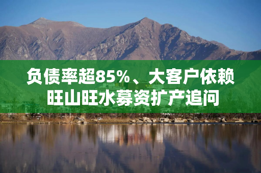 负债率超85%、大客户依赖 旺山旺水募资扩产追问