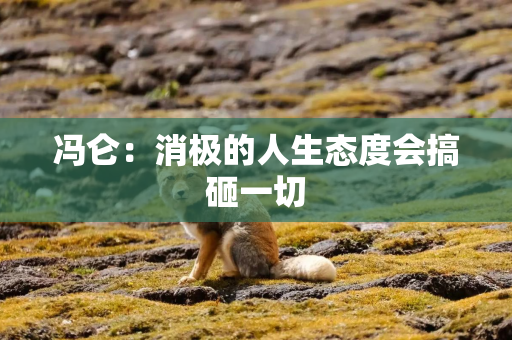 冯仑：消极的人生态度会搞砸一切