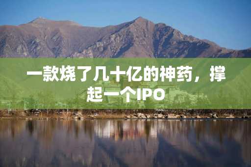 一款烧了几十亿的神药，撑起一个IPO