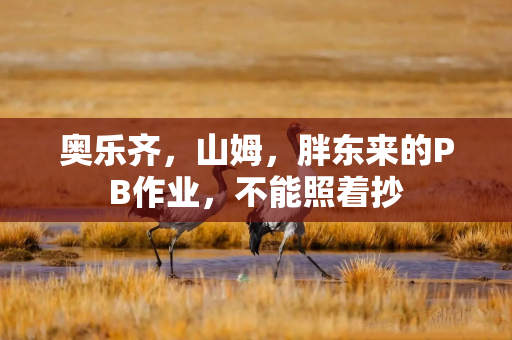 奥乐齐，山姆，胖东来的PB作业，不能照着抄