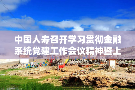中国人寿召开学习贯彻金融系统党建工作会议精神暨上半年经管工作会议