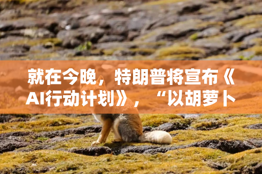 就在今晚，特朗普将宣布《AI行动计划》，“以胡萝卜为主，而非大棒”？