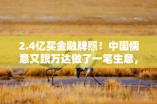2.4亿买金融牌照！中国儒意又跟万达做了一笔生意，收购快钱金融30%股权