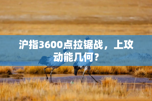 沪指3600点拉锯战，上攻动能几何？