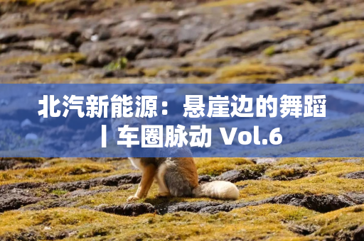 北汽新能源：悬崖边的舞蹈丨车圈脉动 Vol.6