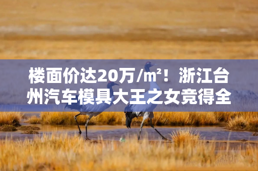 楼面价达20万/㎡！浙江台州汽车模具大王之女竞得全国单价“地王”