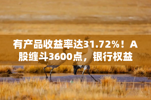 有产品收益率达31.72%！A股缠斗3600点，银行权益类理财又香了