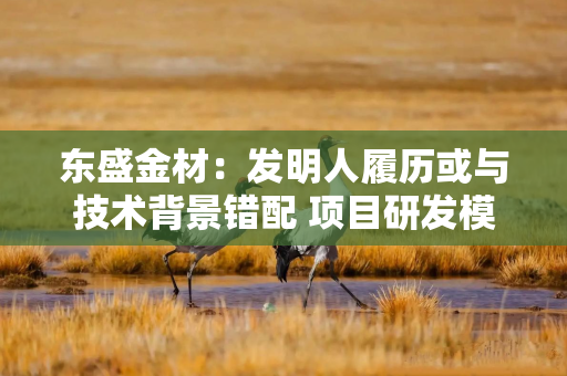 东盛金材：发明人履历或与技术背景错配 项目研发模式信披现疑云