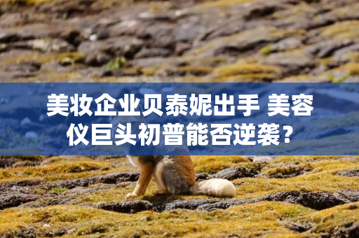 美妆企业贝泰妮出手 美容仪巨头初普能否逆袭？