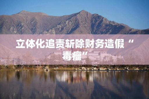 立体化追责斩除财务造假“毒瘤”