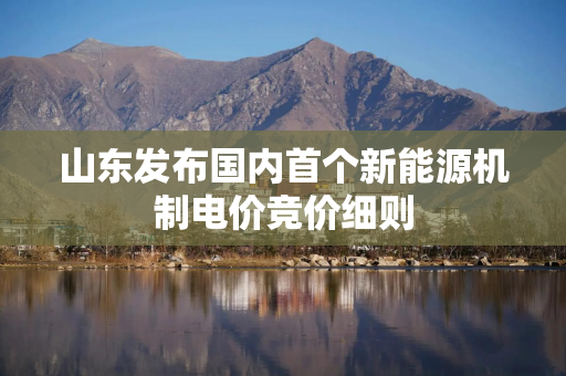 山东发布国内首个新能源机制电价竞价细则