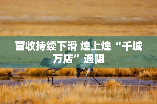 营收持续下滑 煌上煌“千城万店”遇阻