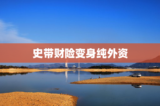 史带财险变身纯外资
