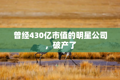 曾经430亿市值的明星公司，破产了