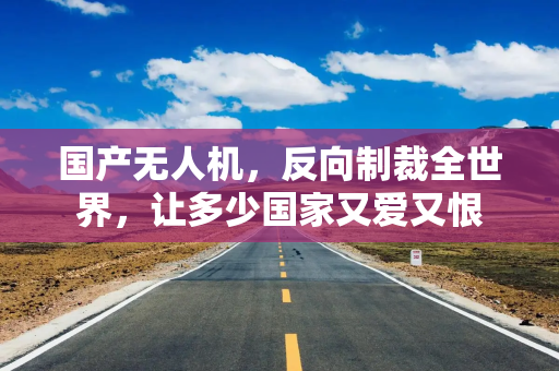国产无人机，反向制裁全世界，让多少国家又爱又恨