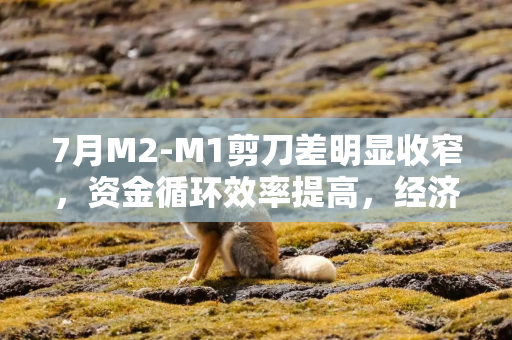 7月M2-M1剪刀差明显收窄，资金循环效率提高，经济回暖提升