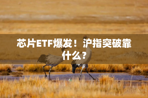 芯片ETF爆发！沪指突破靠什么？