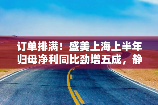 订单排满！盛美上海上半年归母净利同比劲增五成，静待业务多点开花