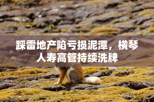 踩雷地产陷亏损泥潭，横琴人寿高管持续洗牌