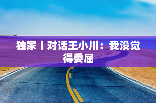 独家丨对话王小川：我没觉得委屈