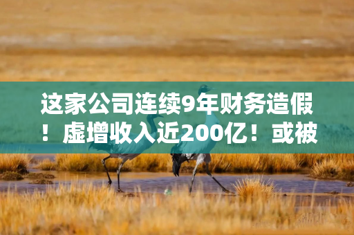 这家公司连续9年财务造假！虚增收入近200亿！或被强退！