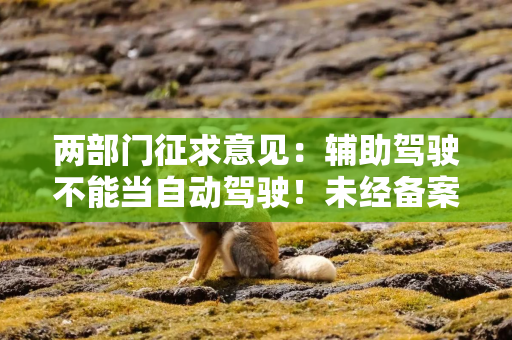 两部门征求意见：辅助驾驶不能当自动驾驶！未经备案OTA不得升级