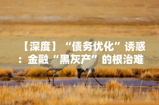 【深度】“债务优化”诱惑：金融“黑灰产”的根治难题