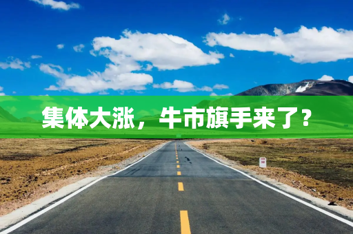 集体大涨，牛市旗手来了？
