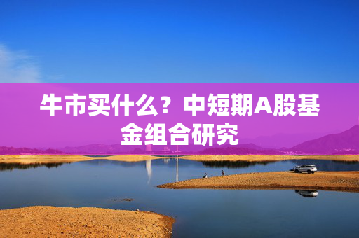 牛市买什么？中短期A股基金组合研究