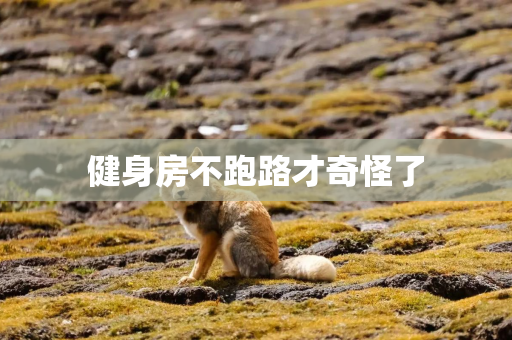 健身房不跑路才奇怪了