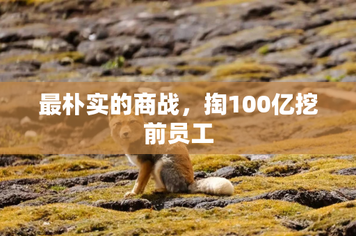 最朴实的商战，掏100亿挖前员工
