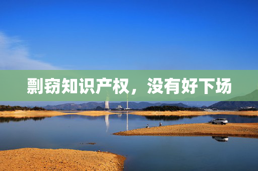剽窃知识产权，没有好下场