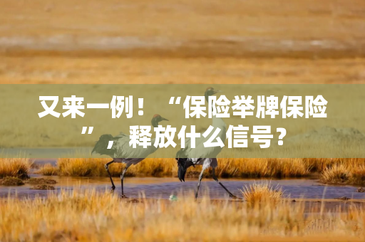 又来一例！“保险举牌保险”，释放什么信号？