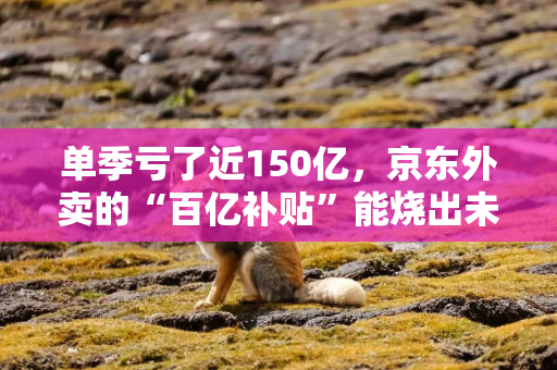 单季亏了近150亿，京东外卖的“百亿补贴”能烧出未来吗？