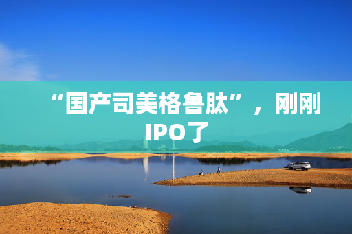 “国产司美格鲁肽”，刚刚IPO了