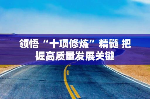 领悟“十项修炼”精髓 把握高质量发展关键
