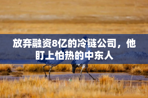 放弃融资8亿的冷链公司，他盯上怕热的中东人